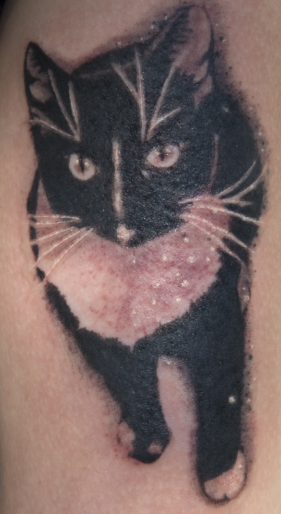 Tattoos - Kitty Stencil - 28808